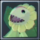 Sunflowmon